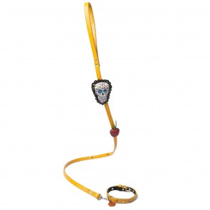 Mexican Chic Leash1